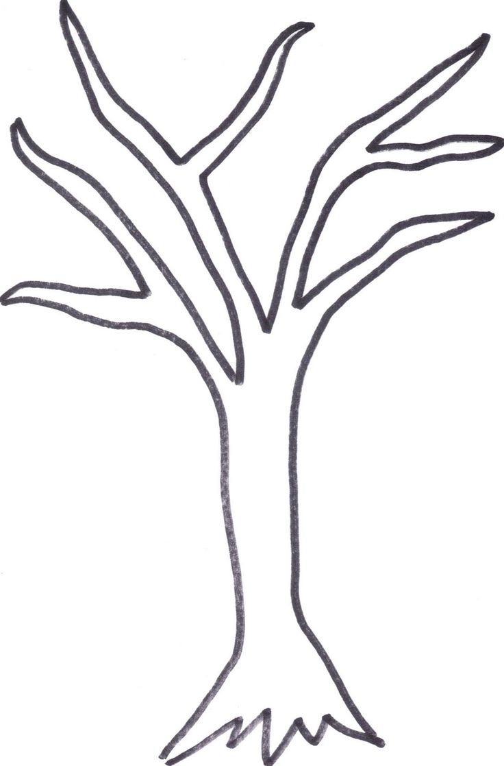 736x1117 Outline Image Of Tree Kids Coloring