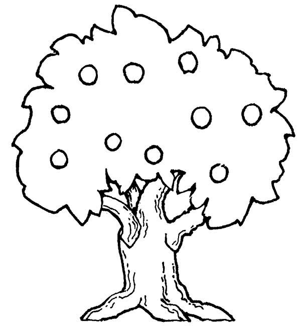 600x666 Coloring Pages Draw A Tree Oak Tree Awesome Drawing Coloring Page