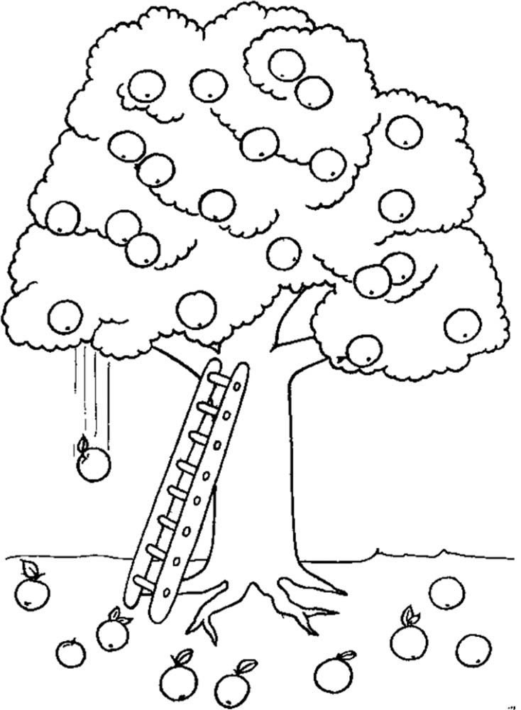 734x1000 Apple Tree Coloring Pages For Kids Many Interesting Cliparts