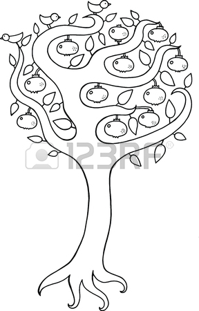 288x450 Pomegranate Tree