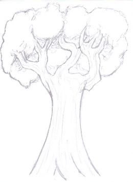 Tree Drawing Images