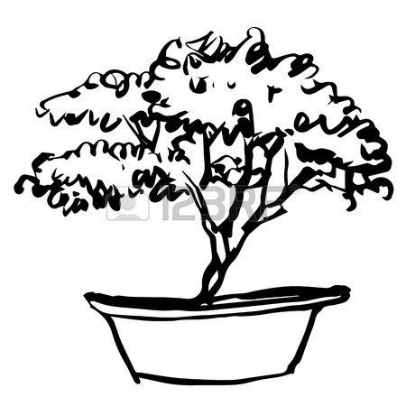 450x450 Bonsai Tree Drawing Stock Photos. Royalty Free Business Images