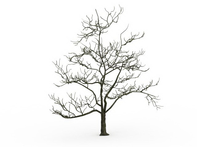 640x480 Old Tree In Winter 3d Model 3ds Max Files Free Download