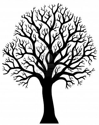 316x400 Silhouette Of Tree Without Leaf