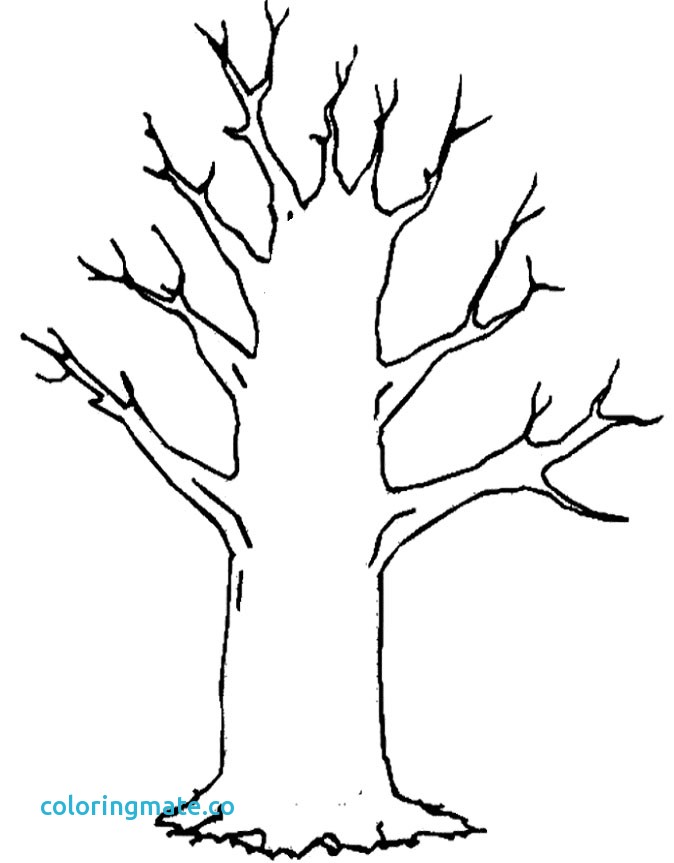 674x863 Tree Printable Coloring Page Elegant Christmas Tree Coloring Pages
