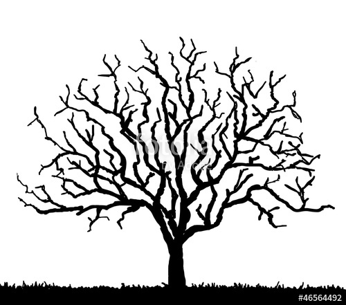 500x441 Black Tree Silhouette With No Leaves, Vector Illustration Stock