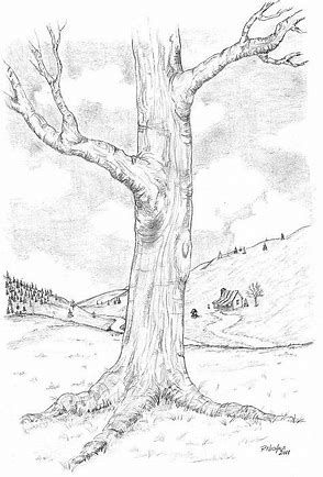 294x434 Image Result For Tree Drawings In Pencil Drawing Competition