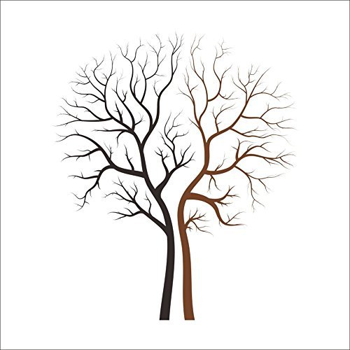 500x500 Large Tree Wall Sticker Amazon.co.uk