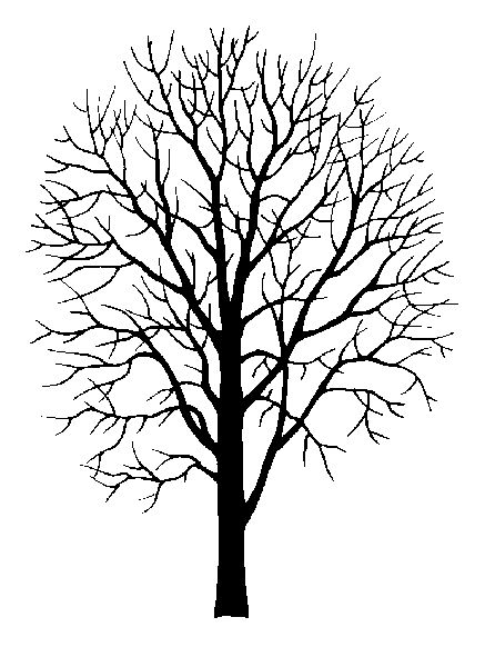 446x600 Printable Tree Pattern With Branches North American Native Tree