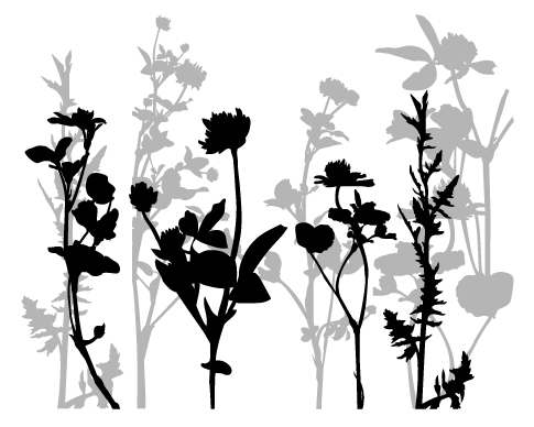 485x388 Wall Decals Floral Tree 2 Art Without Boundaries