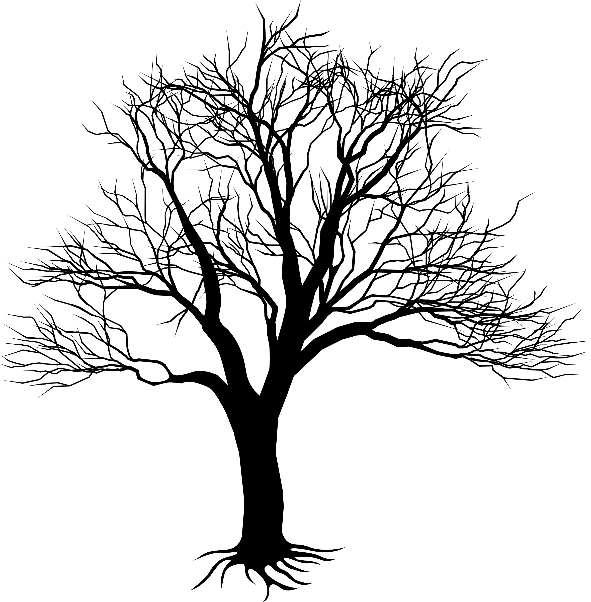 2357x2400 Clipart Easy Draw Trees