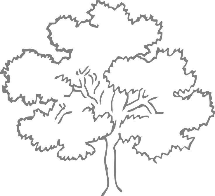 736x670 The Truth About Outline Of Trees Drawing And Landscapes With My