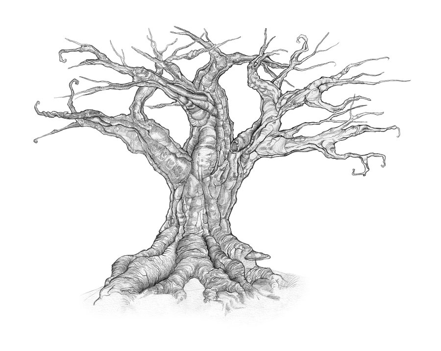 900x718 How To Draw A Dead Tree