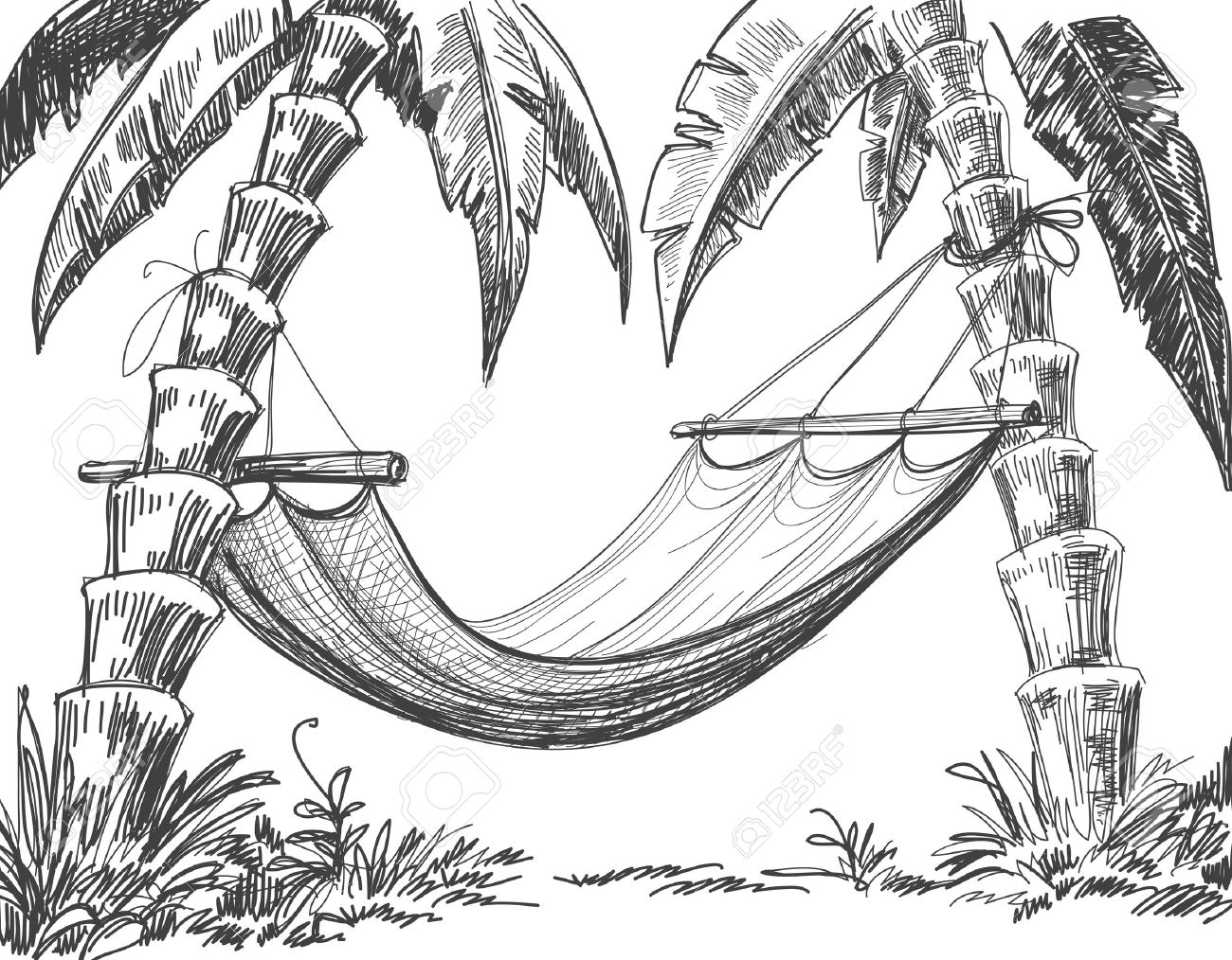 1300x1014 Palm Tree Pencil Drawing Sketches Of Tropical Islands