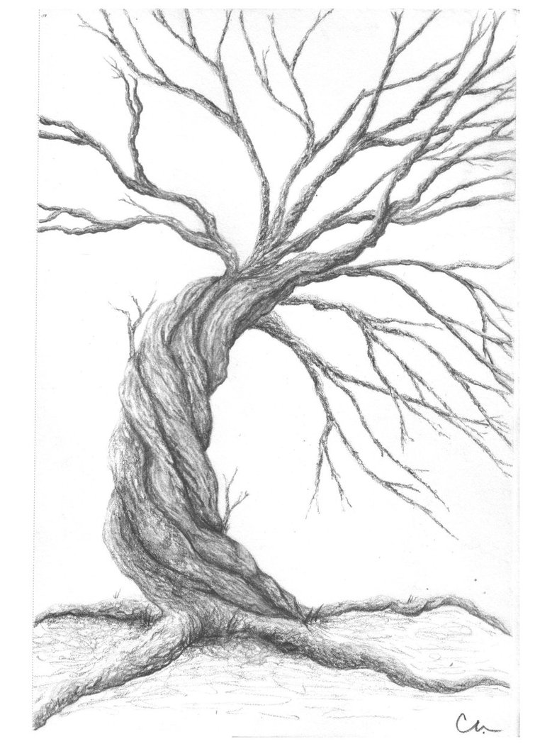 762x1049 Pencil Tree By Chocolatecovered Art