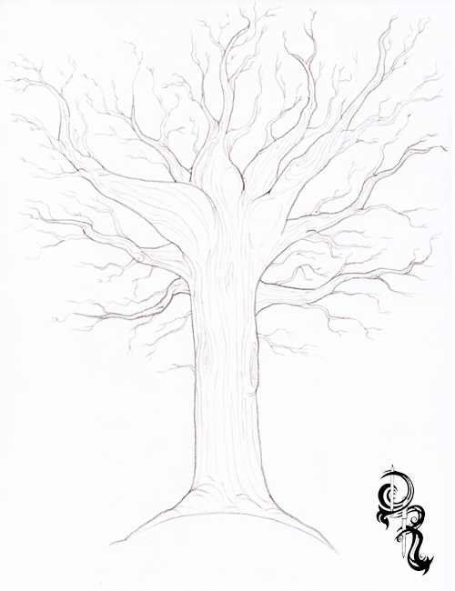 500x650 Pictures Fall Tree Drawings Pencil,