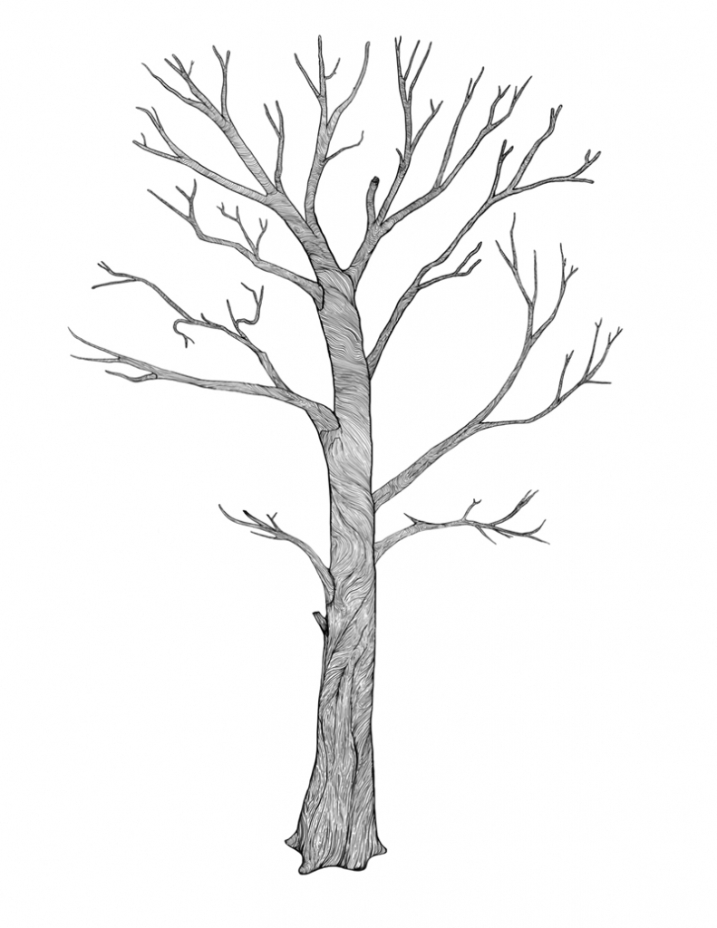 Tree Drawing Pencil at GetDrawings Free download