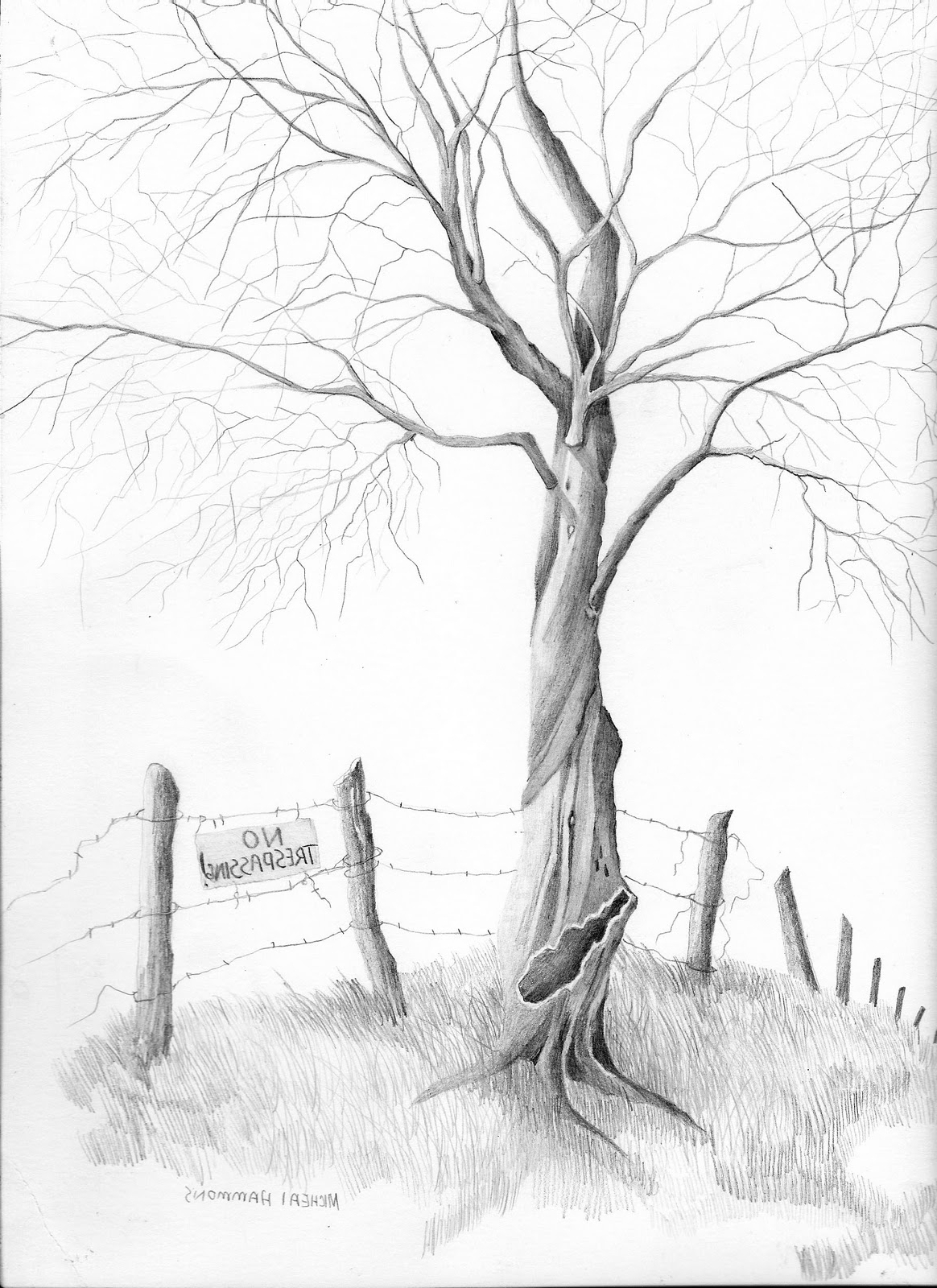 1164x1600 Simple Pencil Sketches Of Tree