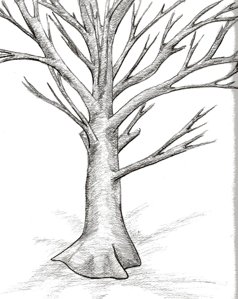 819x1032 Bare Tree By Maguppy