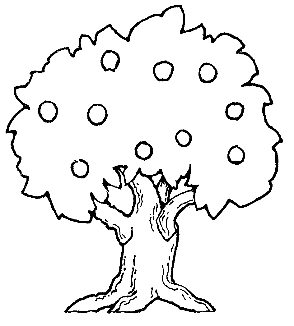 945x1049 Tree Drawing Cliparts 269262