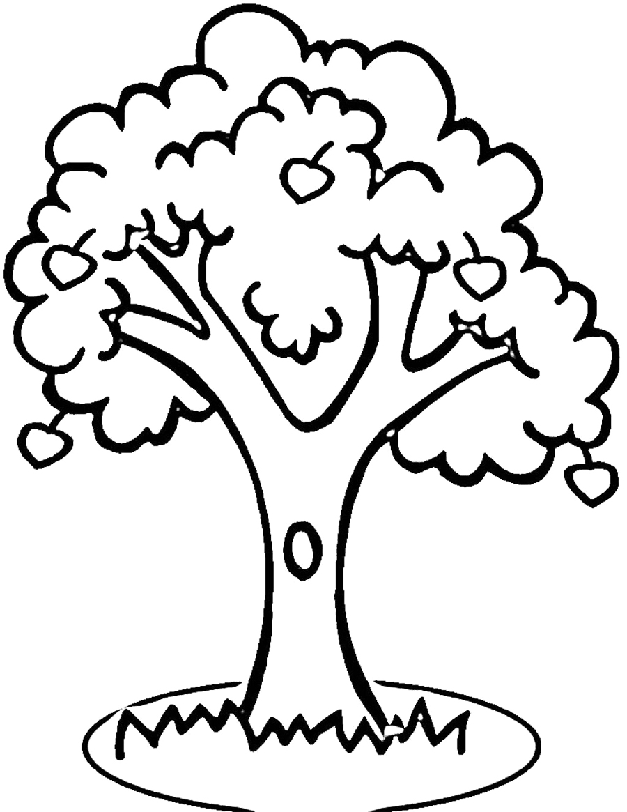 900x1165 Tree Drawing Cliparts 269279