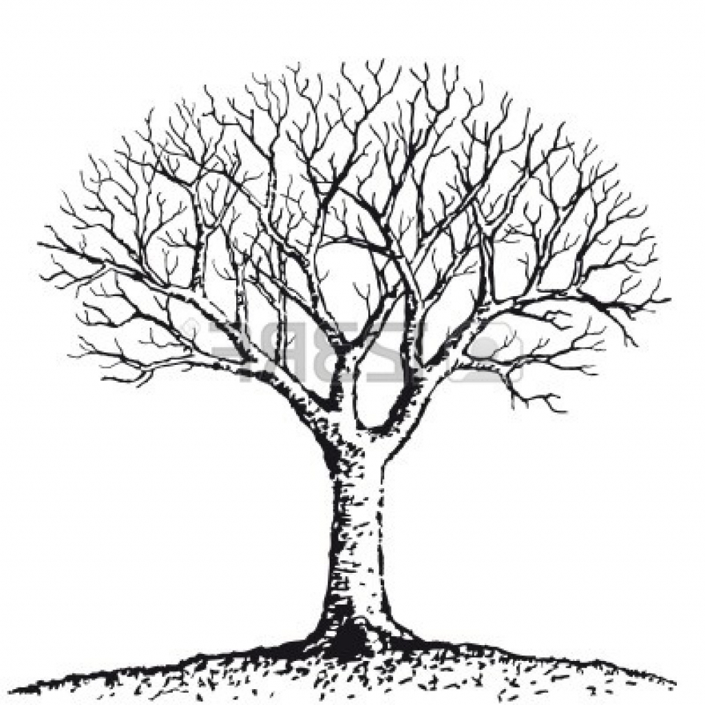 1024x1024 Black And White Tree Drawings
