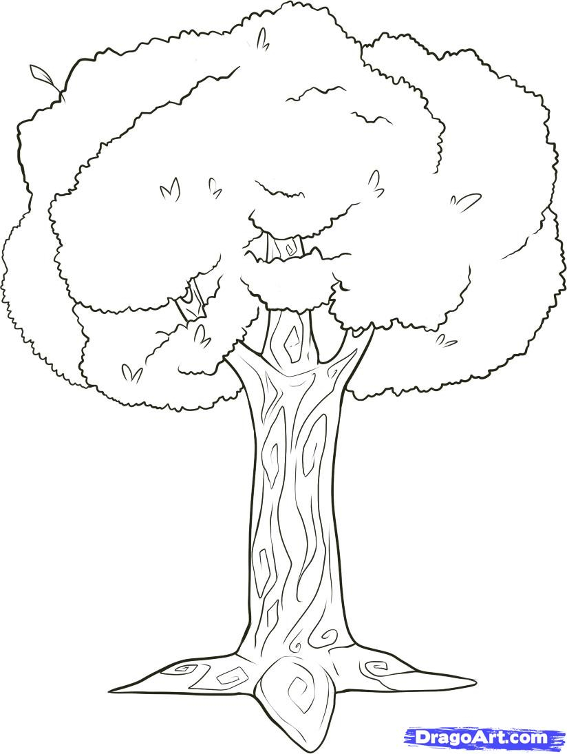 824x1095 A Drawing Of A Tree