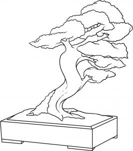 266x302 How To Draw How To Draw A Bonsai Tree