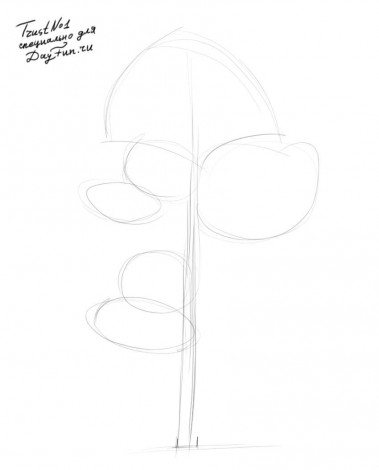 379x470 How To Draw Realistic Pine Trees Step By Step