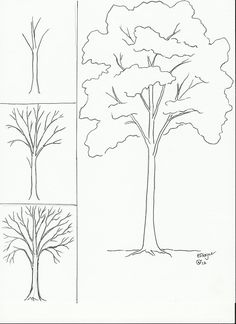 236x324 Stumped Over Super Easy Step By Step Instructions To Draw Trees