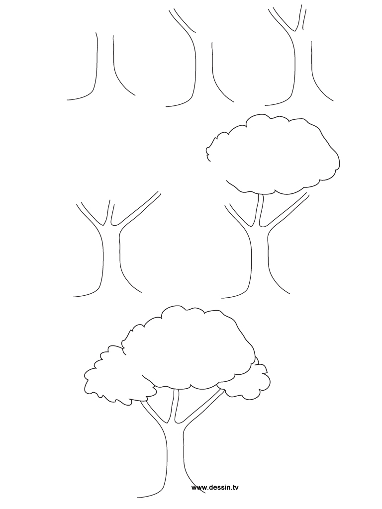 768x1024 Tree Drawing Step By Step