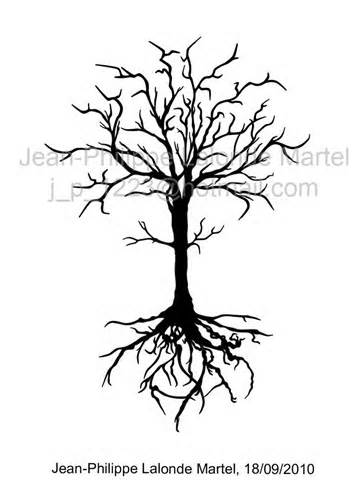 360x480 Tree Drawings