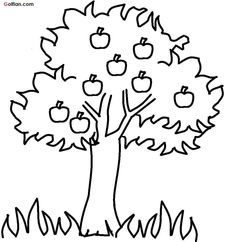 916x986 Collection Of Family Tree Tattoo Stencil