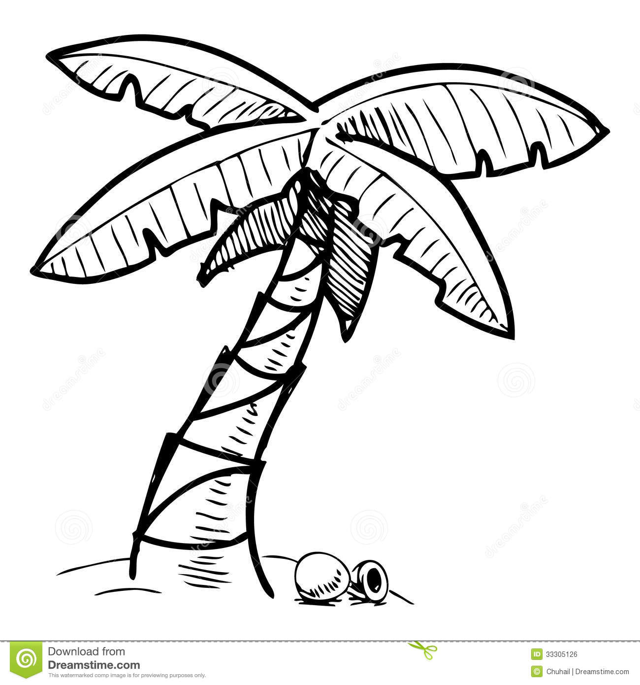 1300x1390 Drawn Palm Tree Sketch