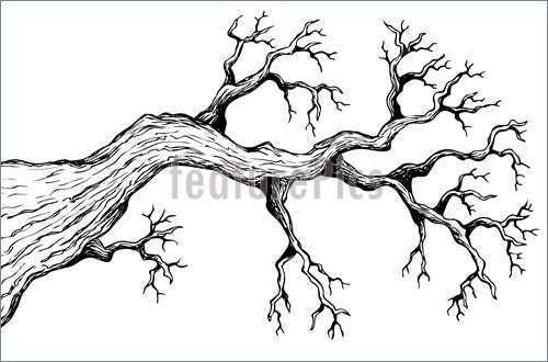 500x330 Illustration Of Tree Theme Drawing 3