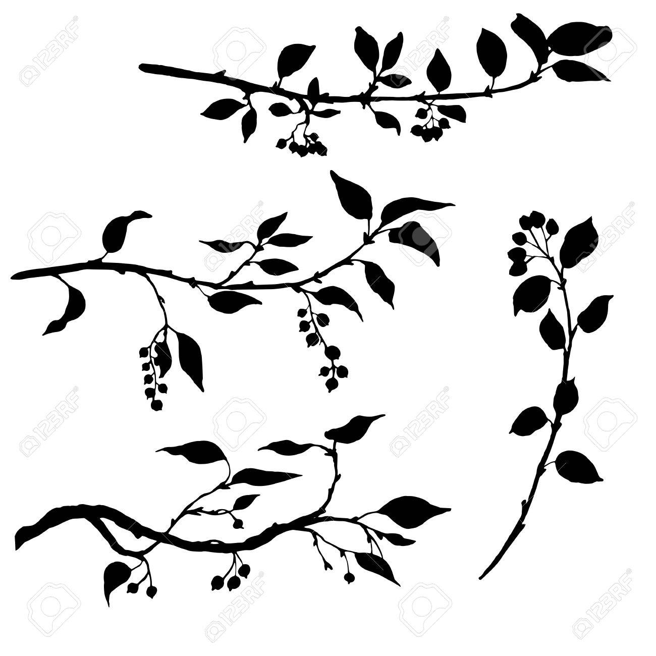 1300x1300 Set Of Tree Branches With Leaves And Berries,fruit Trees Twigs