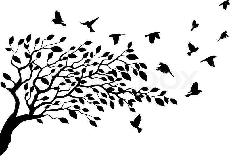 800x542 Tree And Bird Stock Vector Colourbox