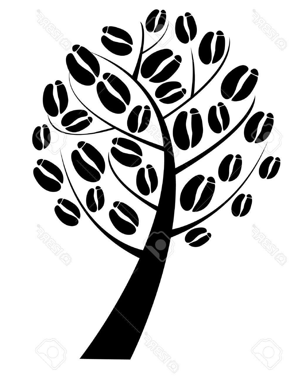 1016x1300 Best 15 Coffee Tree With Beans Stock Vector Cafe Drawing