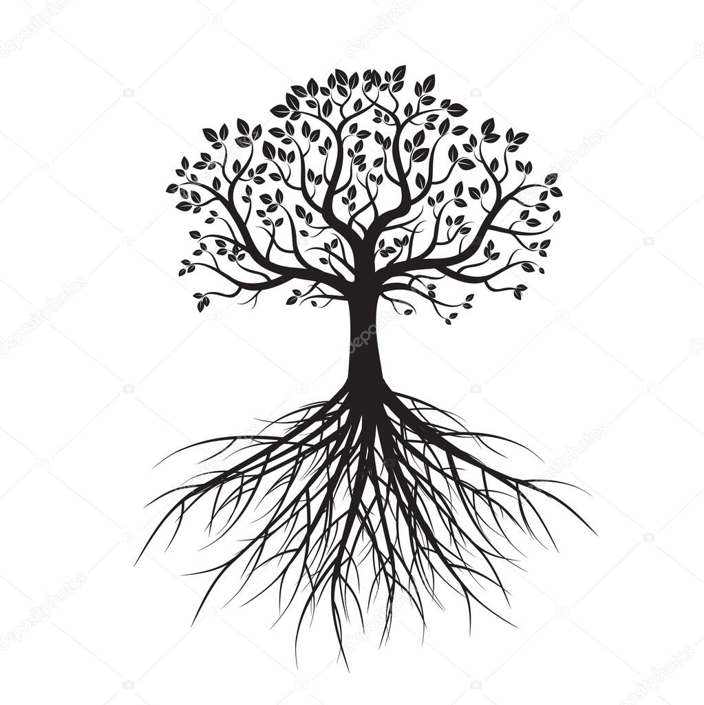 1023x1024 Shape Of Tree And Roots. Vector Illustration. Stock Vector