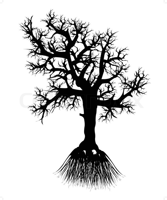 671x800 Silhouette Tree With Root Stock Vector Colourbox