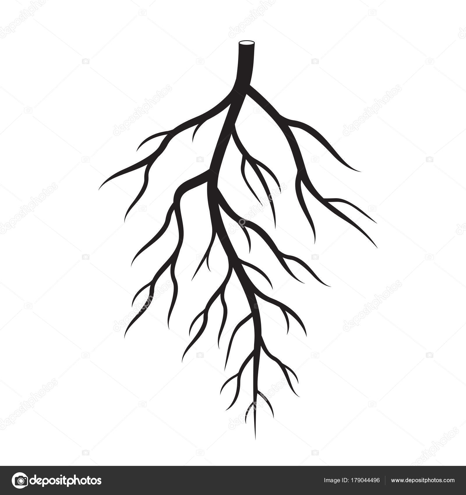 1600x1700 Black Roots Tree. Vector Illustration. Stock Vector