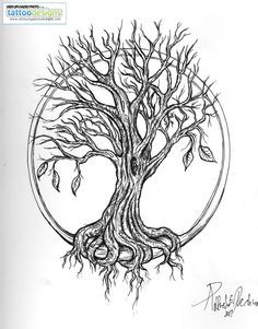 236x301 Tree Roots Sketch Treesa's Tree Decor For My Salon
