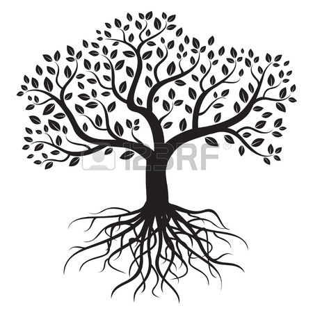 450x450 Tree Roots Stock Photos. Royalty Free Business Images