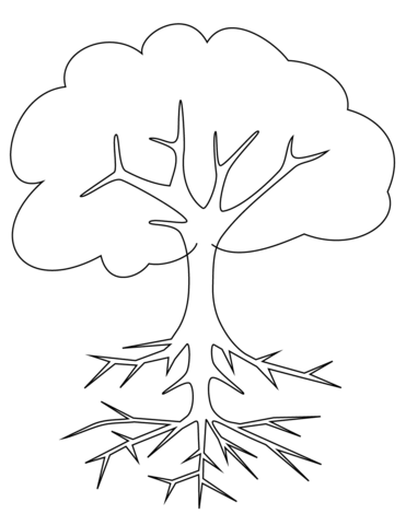 371x480 Tree With Roots Coloring Page Free Printable Coloring Pages