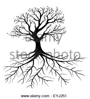 300x331 Whole Black Tree With Roots Isolated White Background Vector Stock