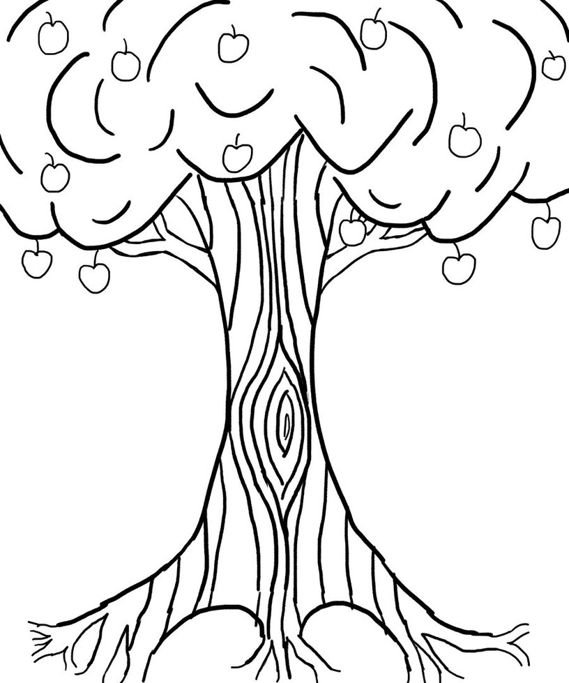 816x979 Drawn Roots Apple Tree
