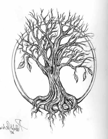 Tree Drawing With Roots at GetDrawings | Free download