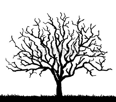 400x353 Images Oak Tree Without Leaves Drawing