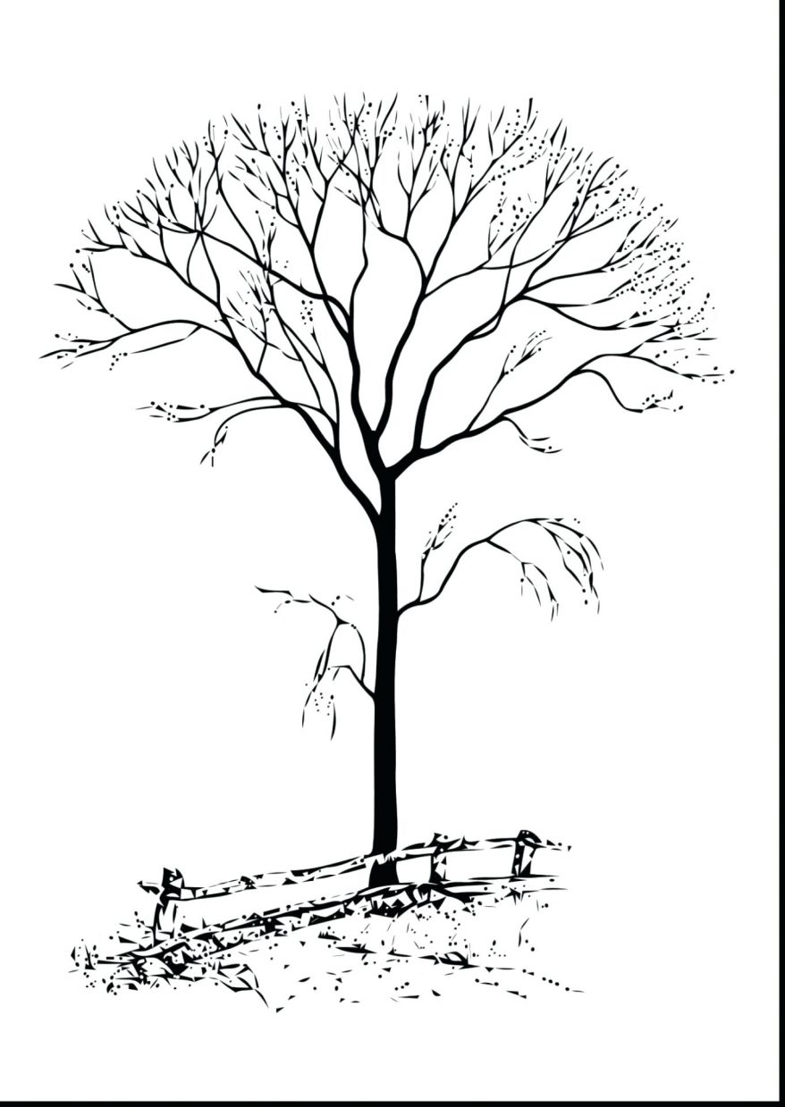 878x1239 Magnificent Trees Without Leaves Coloring Pages With Tree And