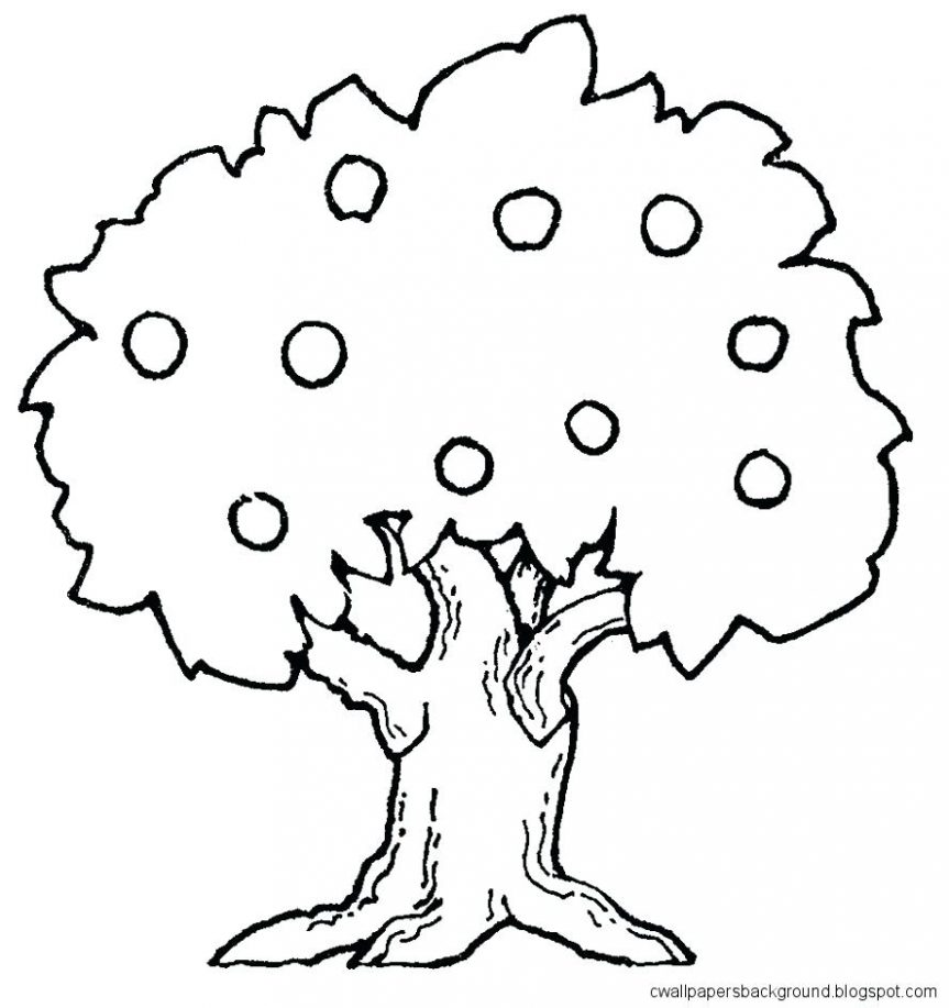 863x917 Mango Tree In Black And White Outline Of Trees Without Leaves Pine